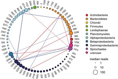 Predicted Bacterial Interactions Affect in Vivo Microbial Colonization Dynamics in Nematostella